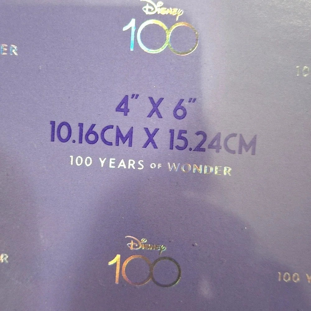 Disney Parks 100th Anniversary WDW Sculpted Metal Photo Frame 4